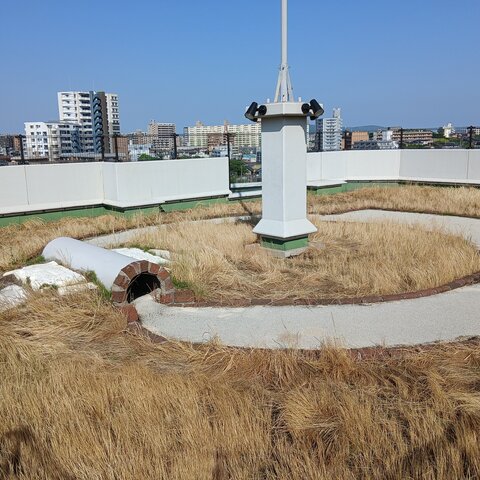 屋上のドッグラン