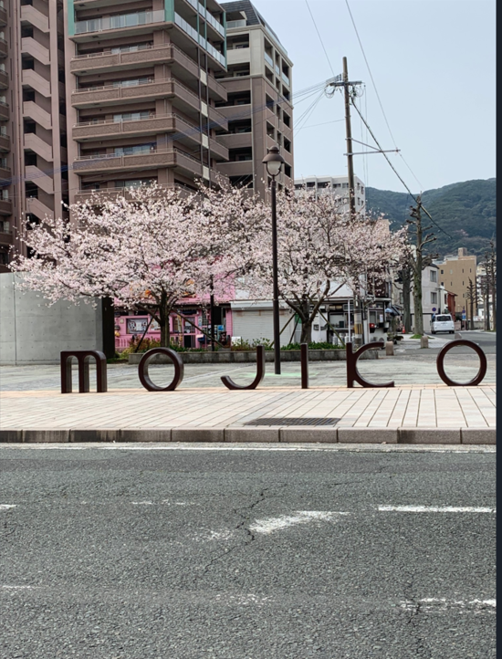 門司港桜④.png
